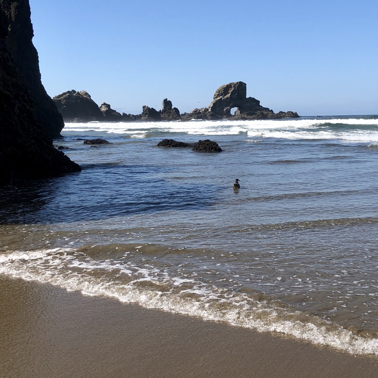 Ecola State Park at Cannon Beach, Oregon