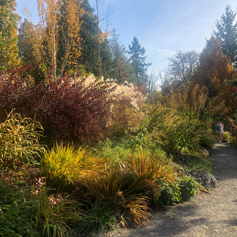 Nature Attractions in Bellevue Washington