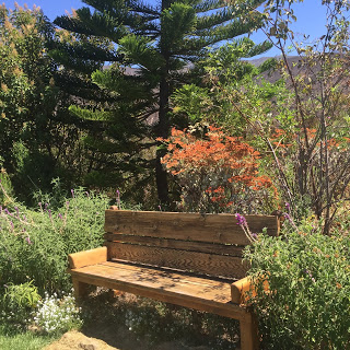 Meditation Retreat in Ojai, California