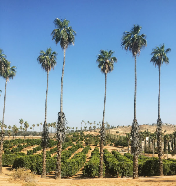 DAY TRIP: California Citrus State Historic Park