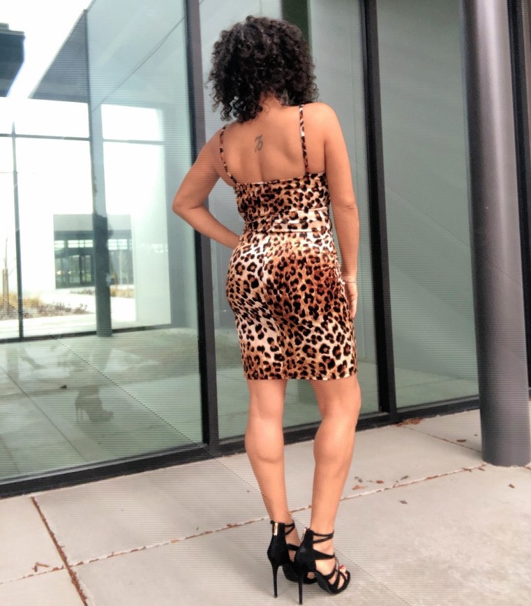 leopard dress