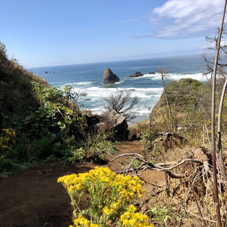 Ecola State Park at Cannon Beach, Oregon