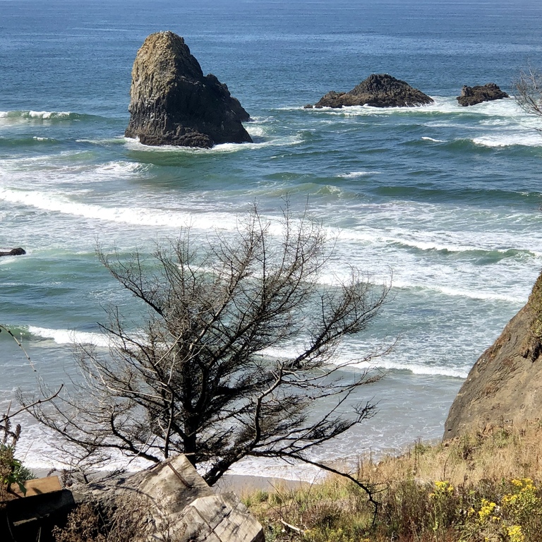 Ecola State Park at Cannon Beach, Oregon