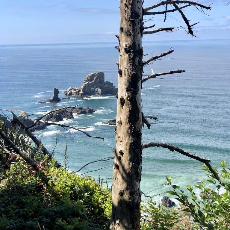 Ecola State Park at Cannon Beach, Oregon