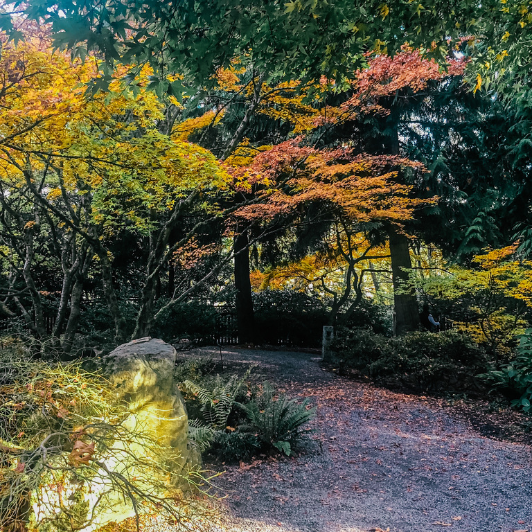 Botanical Garden in Bellevue Washington