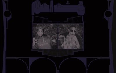 Synth Dirt by Shabazz Palaces