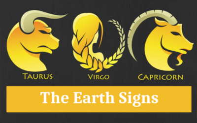 EARTH SIGN STARS